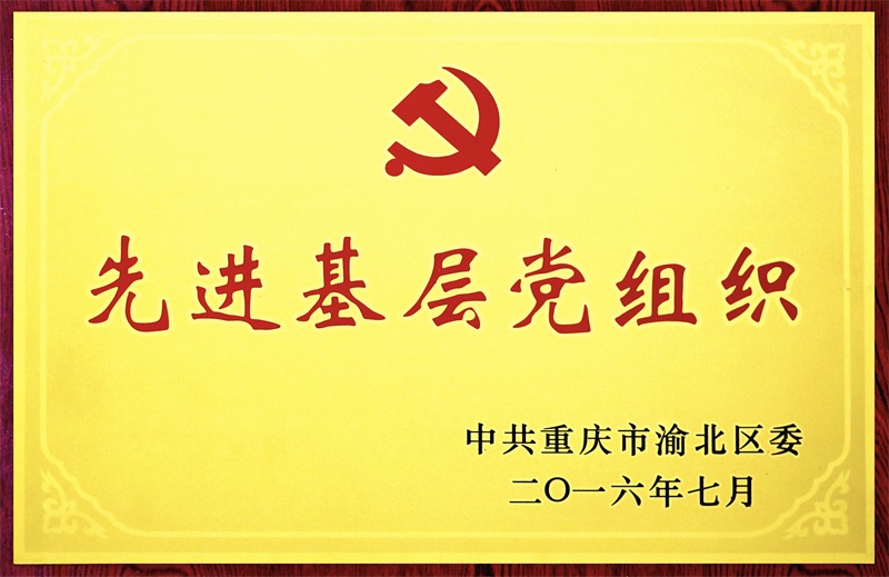 11-渝北区先进基层党组织.jpg